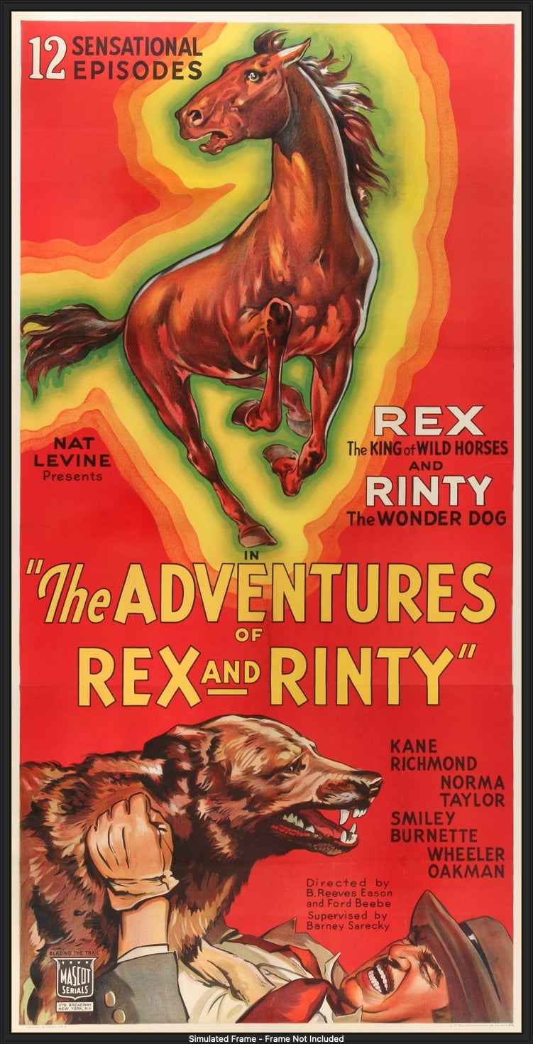 Adventures of Rex and Rinty (1935) original movie poster for sale at Original Film Art - Vintage Movie Posters