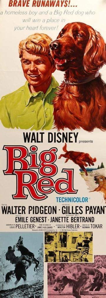 Big Red (1962) original movie poster for sale at Original Film Art