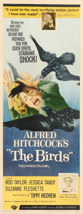 Birds (1963) original movie poster for sale at Original Film Art